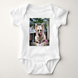 BODY GSD