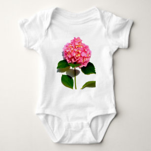 Body Hydrangée rose fleur rose rose rose floral