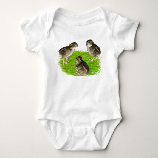 Body Jeunes cailles de Bobwhite (Devant)