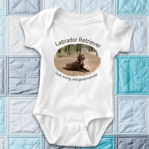Body Labrador Chocolat Sur Un Sentier Forestier Photo R