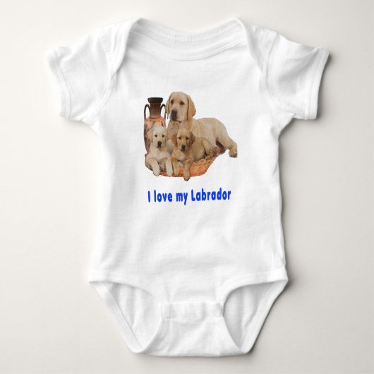 Body Labrador Retriever (Devant)