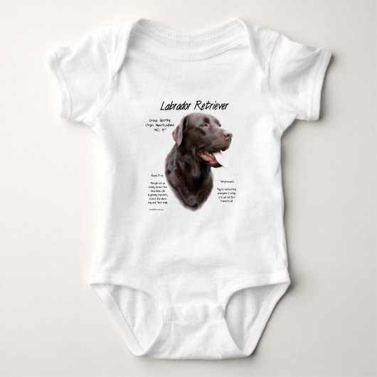 Body Labrador Retriever (chocolat) Histoire Conception (Devant)
