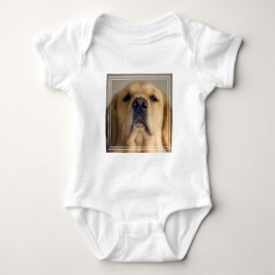 Body Le Retriever balancer le nez