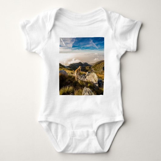 Body Le voyage (Devant)