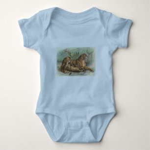 Body Lioness and Cubs, Felis leo