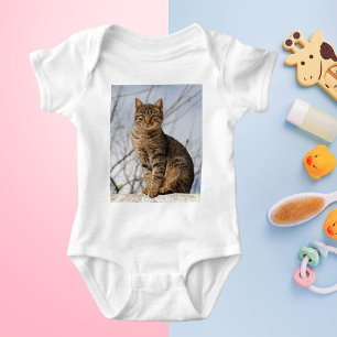 Body Mackerel Tabby Cat