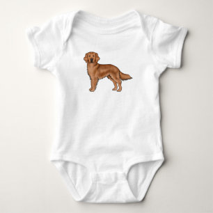 Body Mahogany Red Golden Retriever adorable Dessin dess