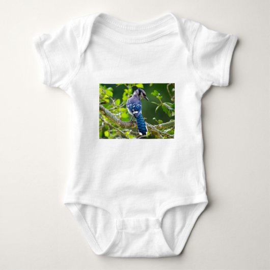 Body Nature Photographie Shy Blue Jay Vêtements Cadeaux (Devant)