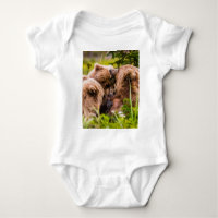 Ours brun femelle allaitant ses deux oursons, Parc