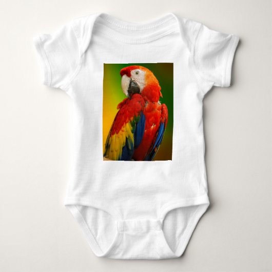 Body Perroquet macaw (Devant)