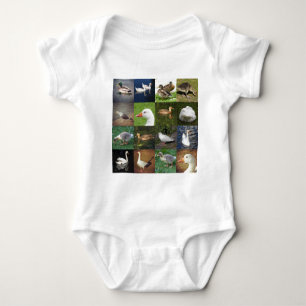Body Photo Patchwork Carré - Oiseaux