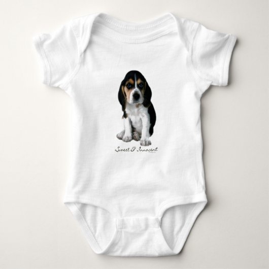 Body Photographie de chiot de beagle (Devant)