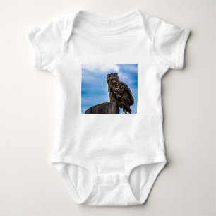 Body Plumes d'oiseau de hibou Animal Nature Destin Paix