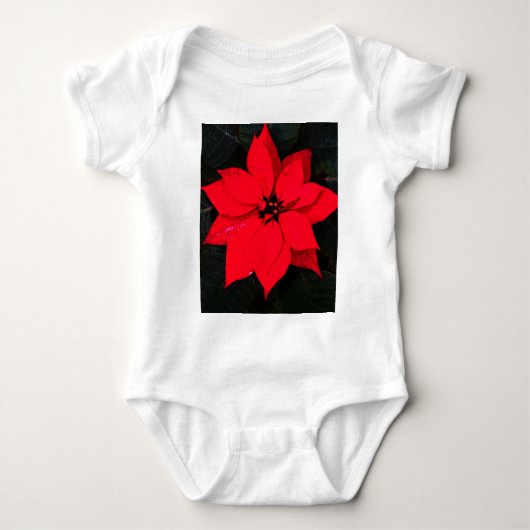 Body Poinsettia 6078 (Devant)