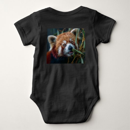Body Red Panda (Dos)