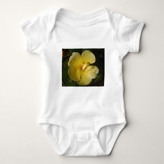 Body Rose jaune sauvage (Devant)