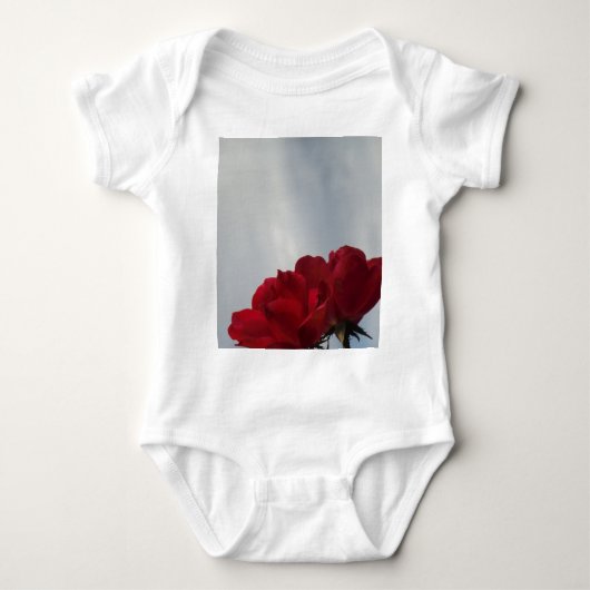Body Roses rouges contre un ciel bleu vif (Devant)