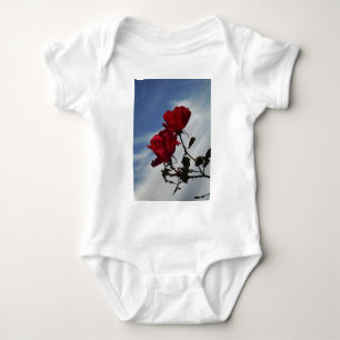 Body Roses rouges contre un ciel bleu vif