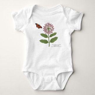 Body Sauver la population de papillons monarques
