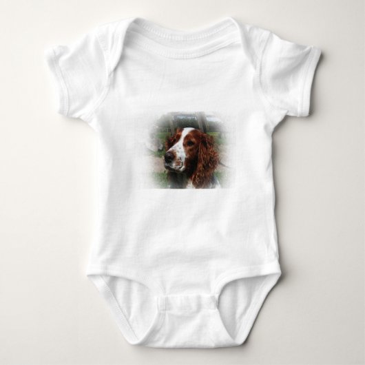Body Springer Spaniel Chien Art (Devant)