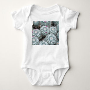 Body Tiny rose Fleurs Plantes Cactus