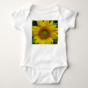 Body Tournesol