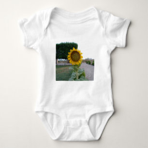 Body Tournesol