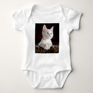 Body Très mignon chaton blanc