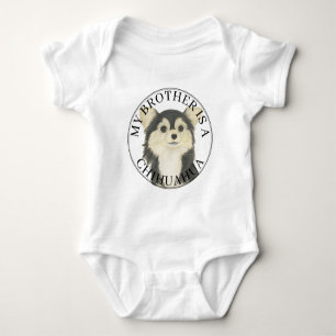 Body Tricolor Long Haired Chihuahua Big Brother