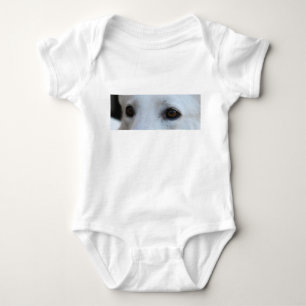 Body yeux de berger allemand blanc