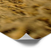 Bodybuilder Poster (Hoek)