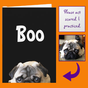 Boe! Kijkende Pug Halloween Kaart
