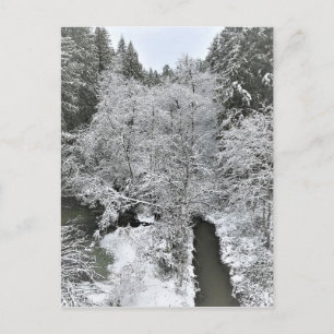 Boeckman Creek in Winter, Oregon Briefkaart