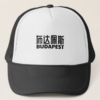 boedapest-city-hongarije-ungarn-chinese trucker pet