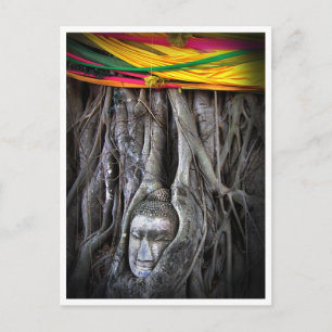 Boeddha En De Boom Boeddhisme Thailand Fotografie Briefkaart