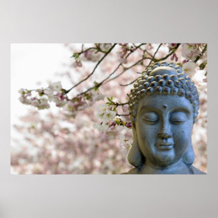 Boeddha Hoofd van het Poster tegen Sakura Cherry B