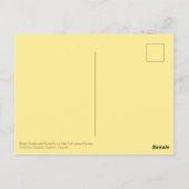 Boeddha Quote Zwarte Swallowtail Vlinderbloemen Briefkaart (Achterkant)