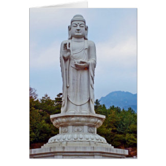 Boeddha-standbeeld in Zuid-Korea, Azië