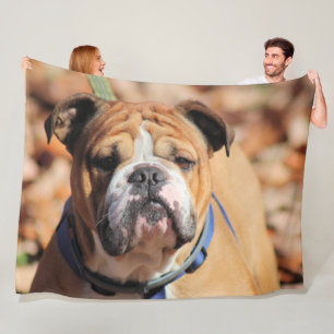 Boeddy bulldog fleece deken