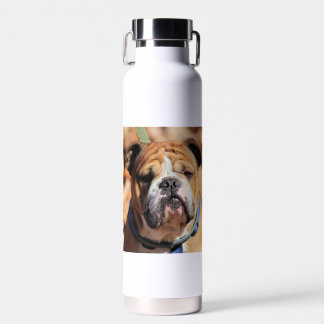 Boeddy bulldog waterfles