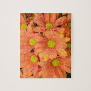Boedel van mooie Oranje bloemen Legpuzzel