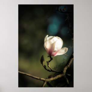 Boedende magnolia verticaal poster