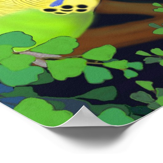 Boedgerigars in het Poster Ferns (Hoek)