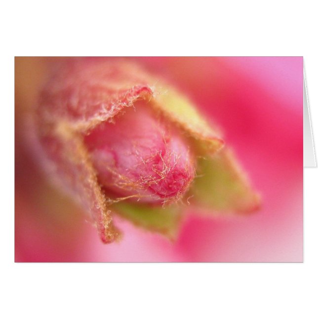 Boedingskaart (Voorkant Horizontaal)