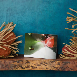 Boeg van een rood en groen vrachtschip  Long Beach Fotoplaat