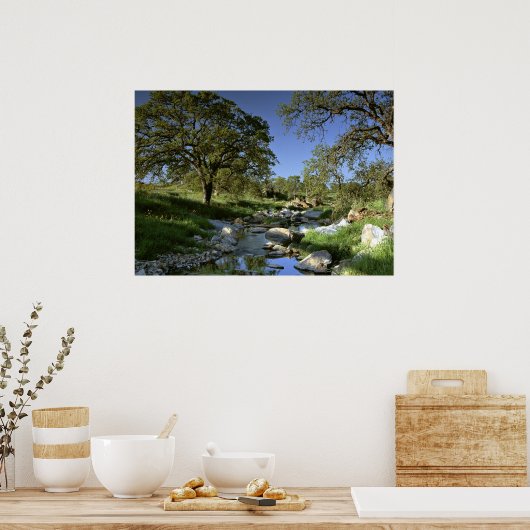 Boeiende Natuur Poster (Keuken)