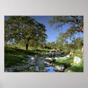 Boeiende Natuur Poster