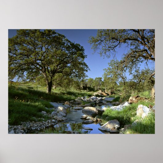 Boeiende Natuur Poster (Voorkant)
