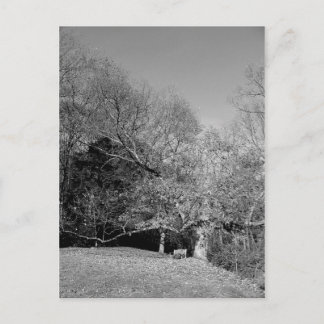 Boek onder Briefkaarten