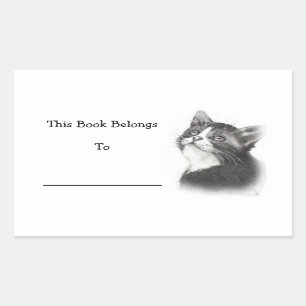 Boek Stickers: Potloodtekening van Kitten Rechthoekige Sticker